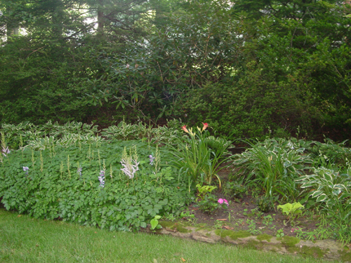 Lower garden